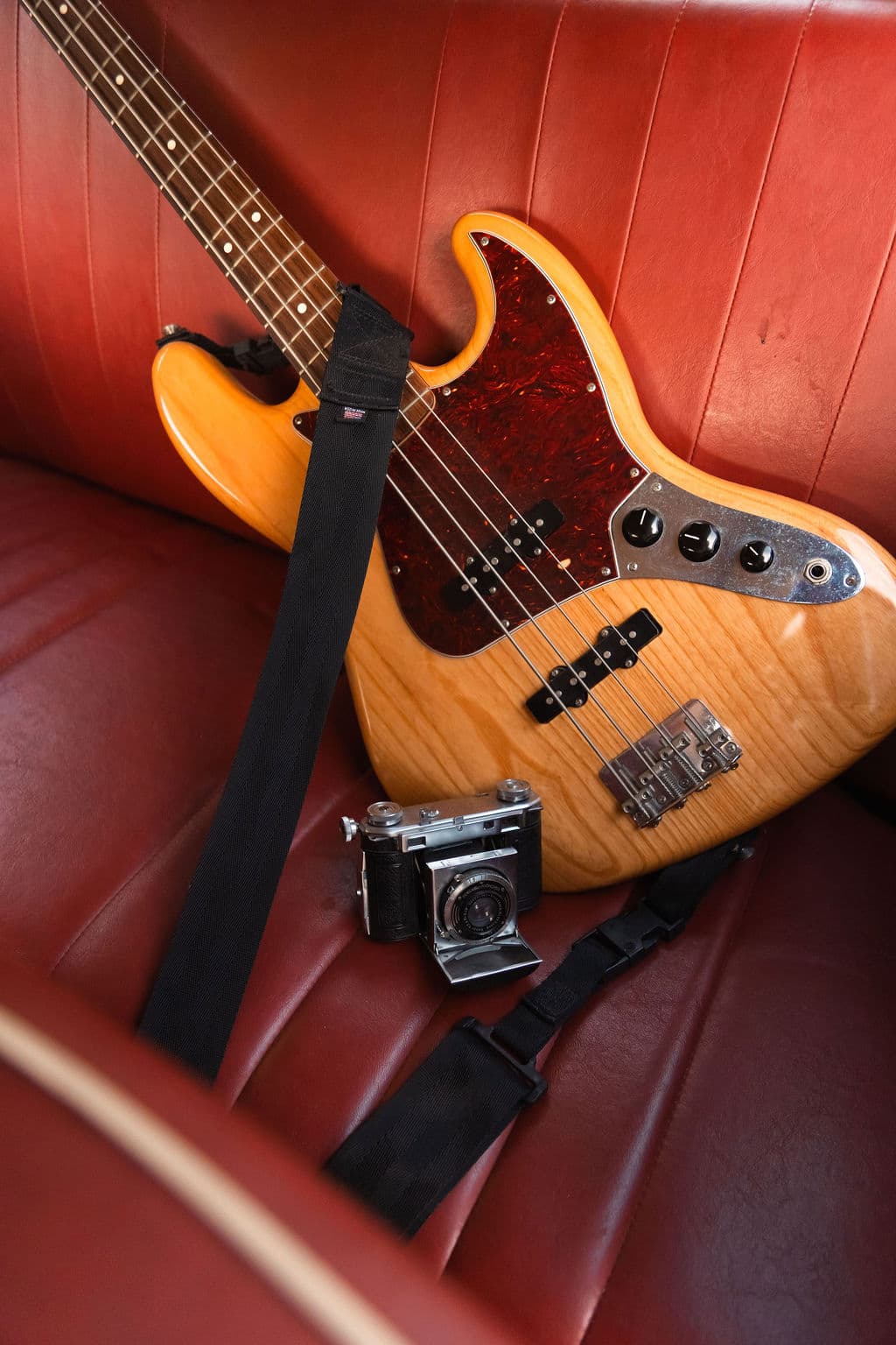 raybug 56 - Bug Collection