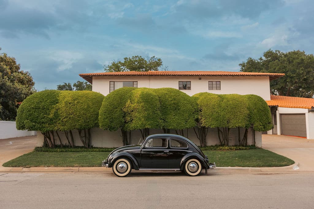 raybug 77 - Bug Collection