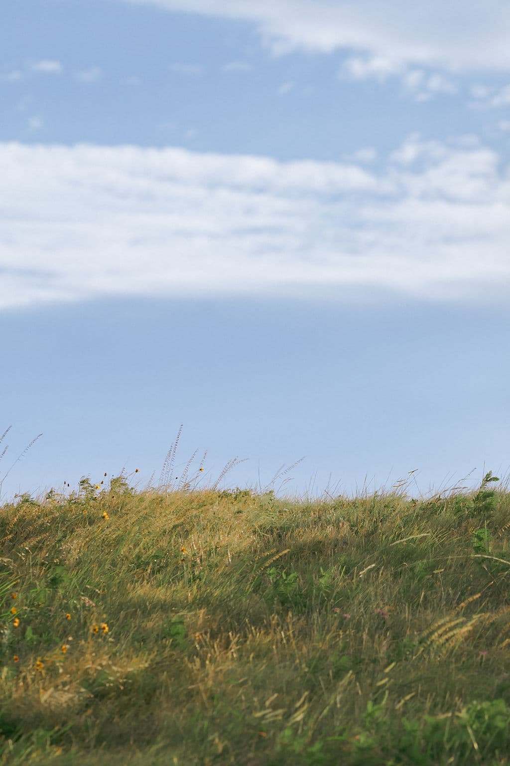 clearsky 22 - Clear Sky